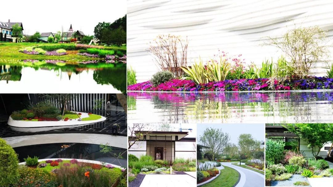 為公園城市美好而生 | 陌上花開花境園藝邀您參觀2020成都園林景觀展(圖8) 為公園城市美好而生 | 陌上花開花境園藝邀您參觀2020成都園林景觀展(圖8)